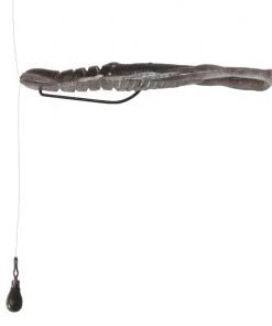 Bottom Up Hurry Shrimp