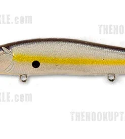 Megabass Ito Vision 110 Plus 1