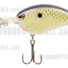 Spro Little John Baby DD Crankbaits