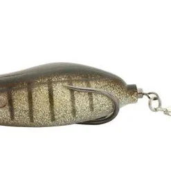 Teckel Maracker Frog Frogs