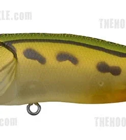 Megabass Pop Max