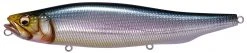 Megabass Megadog