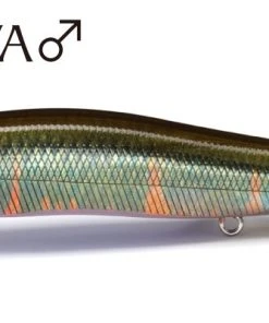 Megabass Ito Vision 110 Fine Art