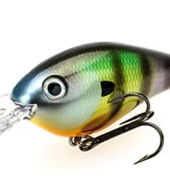 Strike King Pro Model 8XD Crankbaits 42 Strike King Pro Model 8XD Crankbaits