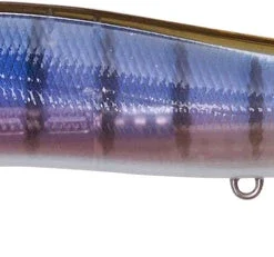 Megabass Ito Vision 110 Max LBO