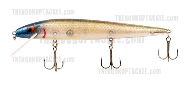 Smithwick Perfect 10 Rogue 5 Smithwick Perfect 10 Rogue