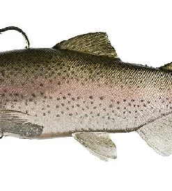 Huddleston Deluxe Soft Body 8 Inch Swimbaits 14 Huddleston Deluxe Soft Body 8 Inch Swimbaits