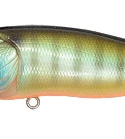 Megabass Pop Max