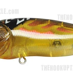 Megabass Pop Max
