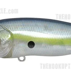 Megabass Pop Max