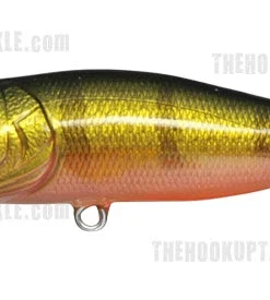 Megabass Pop-X 58 Megabass Pop-X