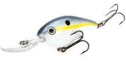 Strike King Pro Model 8XD Crankbaits