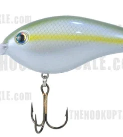 Strike King Pro Model 6XD Crankbaits