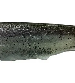 Optimum Baits Baby Thumper Tail