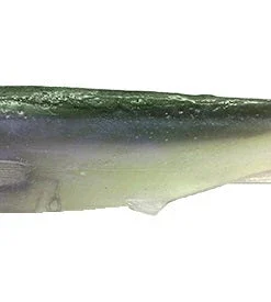 Optimum Baits Baby Thumper Tail