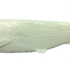 Optimum Baits Baby Thumper Tail