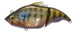 Megabass Vatalion 27 Megabass Vatalion